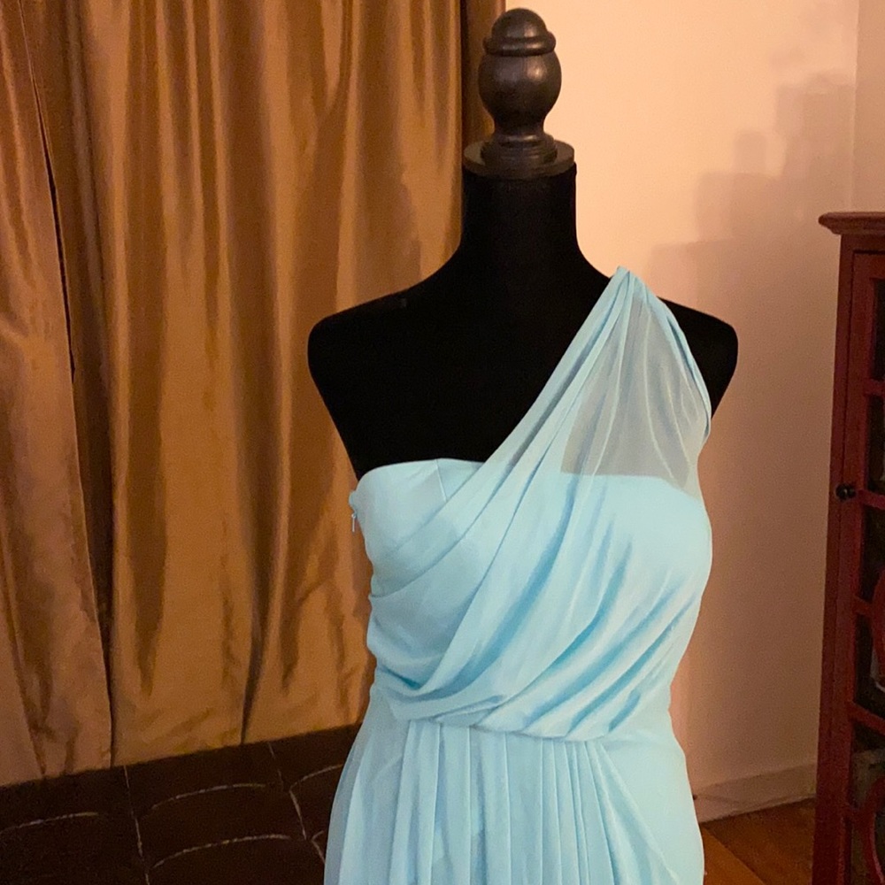 David’s Bridal one shoulder sheer long dress worn once